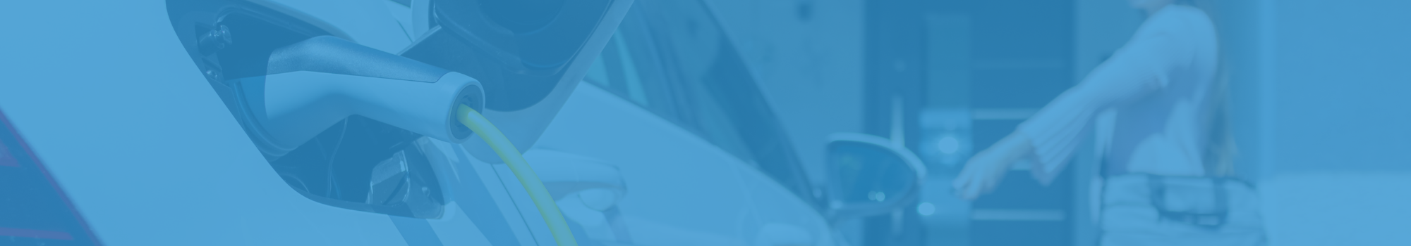 By Brand EV Chargers